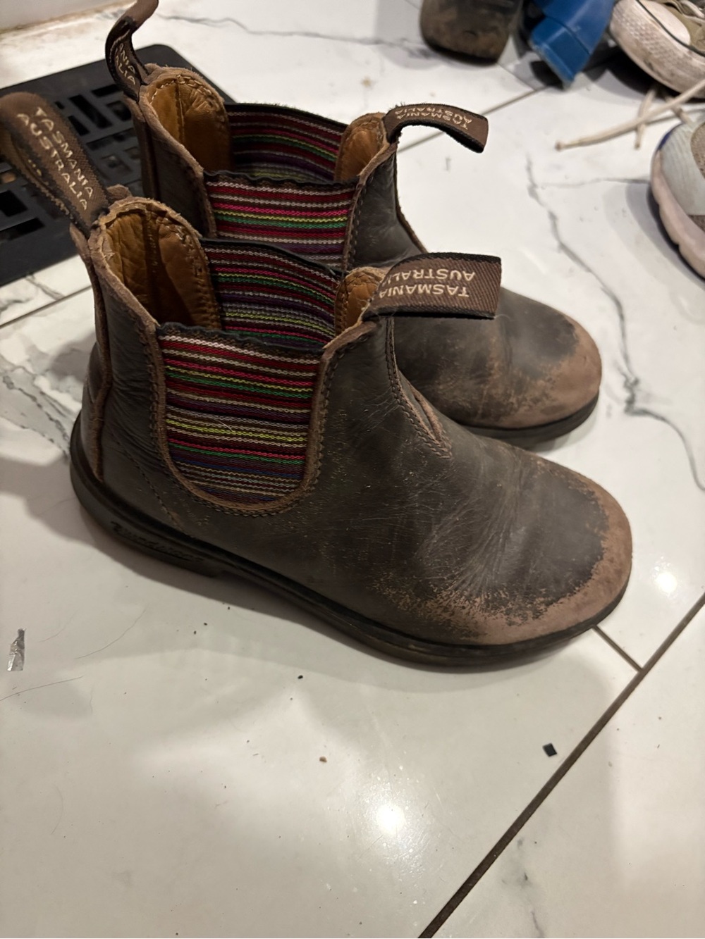 Kids Brown Leather Blundstone Boots with Multicolor Stripe